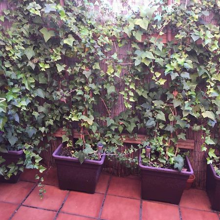 Bonito Piso Centro De Los Boliches Fuengirola Εξωτερικό φωτογραφία