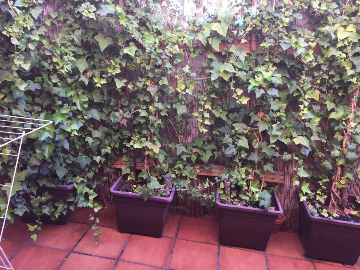 Bonito Piso Centro De Los Boliches Fuengirola Εξωτερικό φωτογραφία